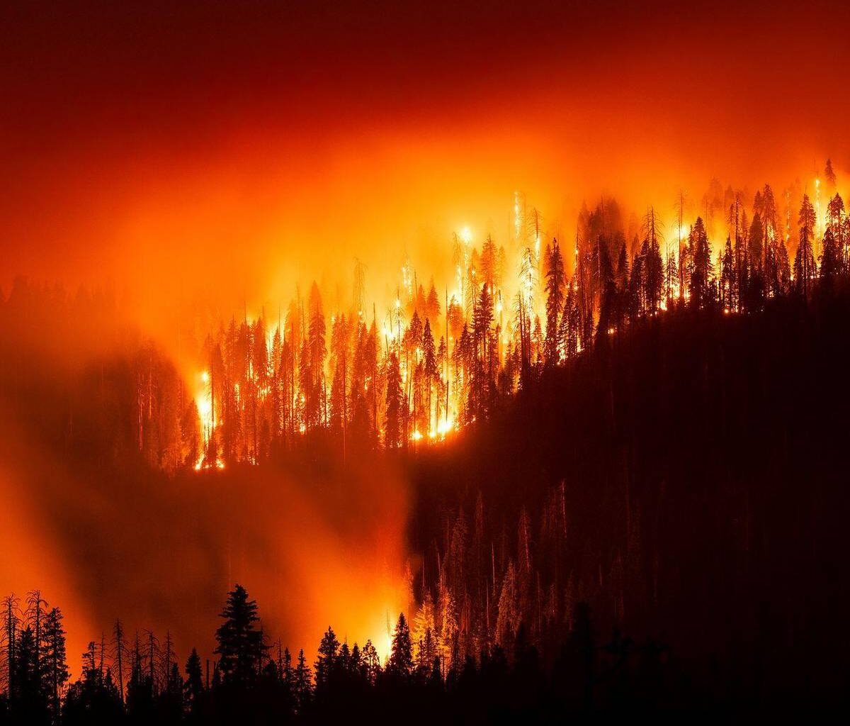 Waldbrand bedroht Riesenmammutbäume in Kalifornien