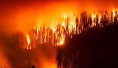 Waldbrand bedroht Riesenmammutbäume in Kalifornien