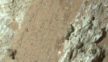 Nasa: Mars-Stein könnte Zeichen von früherem Leben zeigen