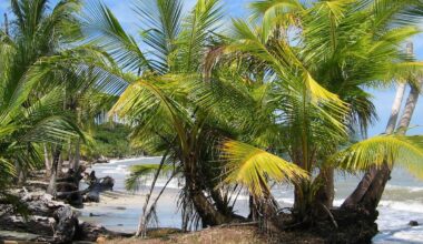Getötetes Paar in Costa Rica: Frau war Österreicherin