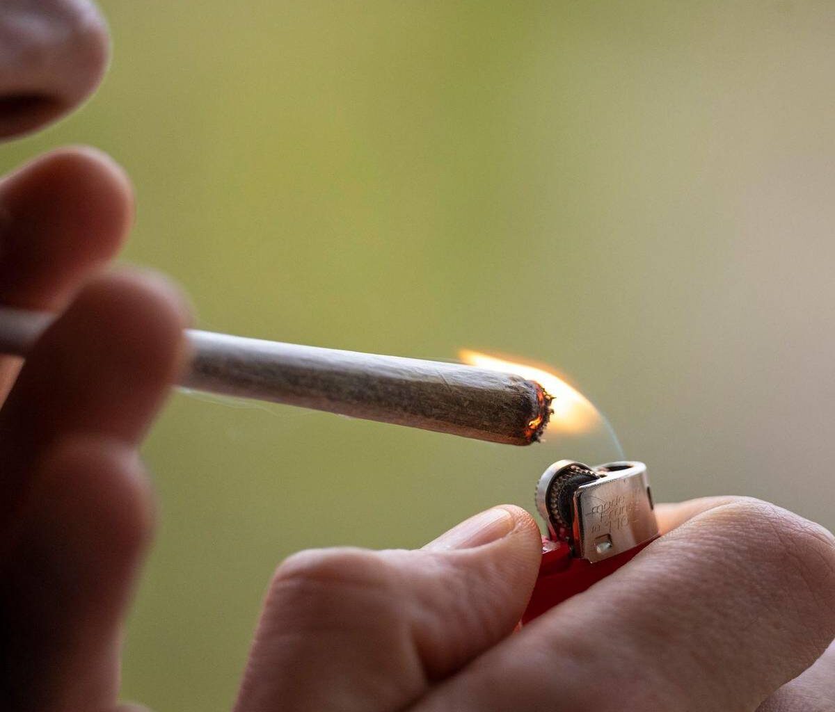 Cannabis-Schwarzmarkt bisher kaum verdrängt - Antenne Münster