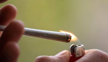 Cannabis-Schwarzmarkt bisher kaum verdrängt - Antenne Münster