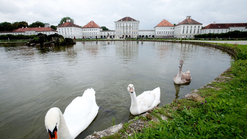 Am Nymphenburger Schloss kommen royale Gefühle hoch, nicht nur bei den Schwänen.