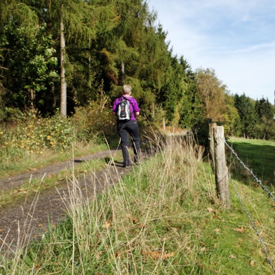 Eine wandernde Person unterwegs auf einem idyllischen Wanderweg.