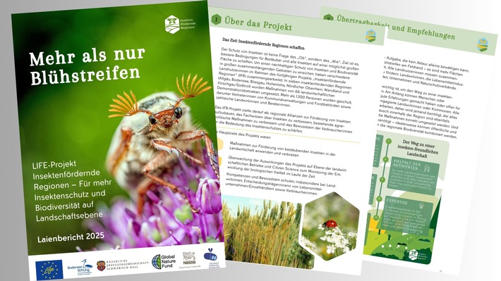 EU-Projekt „Insektenfördernde Regionen“ zieht Bilanz: 2.200 Hektar für den Insektenschutz geschaffen