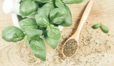 Lebensmittel-Rückruf: Krankheitserreger in Basilikum entdeckt | Leben & Wissen