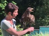 Der Vogelpark, in dem Greifvögel-Flugvorführungen und Eulen-Führungen stattfanden, wurde im vergangenen Jahr geschlossen.