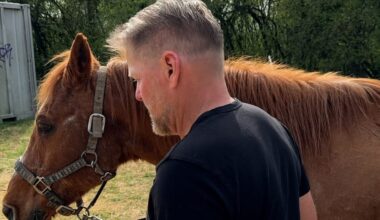 Trotz Haltungsverbot: Hoffnung bei Reitverein "Fanny Farm" in Markkleeberg