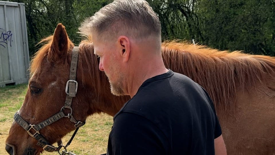 Trotz Haltungsverbot: Hoffnung bei Reitverein "Fanny Farm" in Markkleeberg