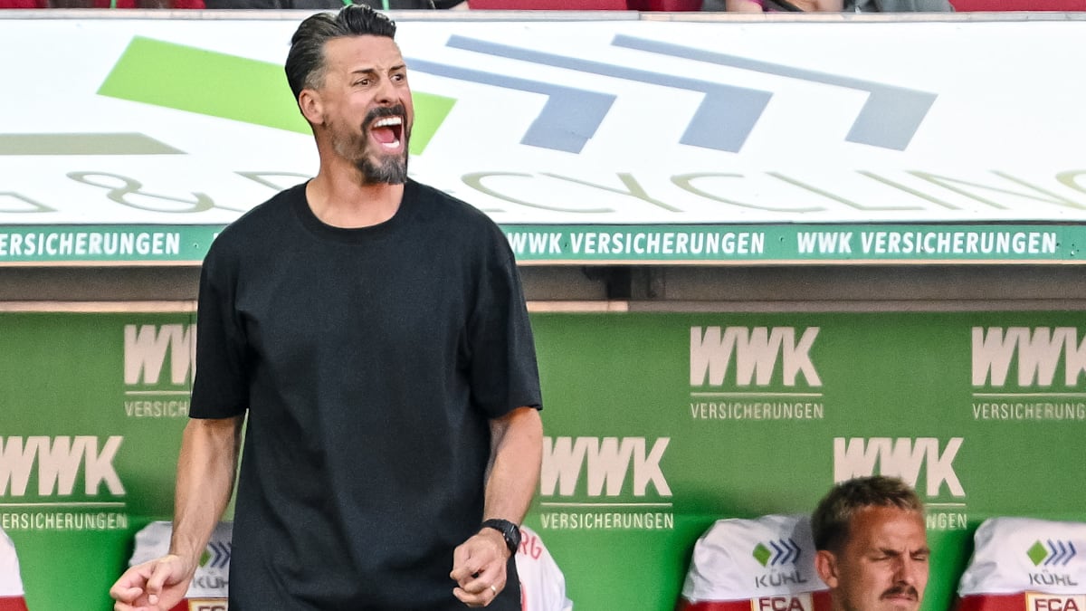 FC Augsburg: Restlos bedient entschuldigt sich Sandro Wagner bei den eigenen Fans
