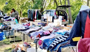 H@llAnzeiger - Peißnitz-Flohmarkt auf der Ziegelwiese