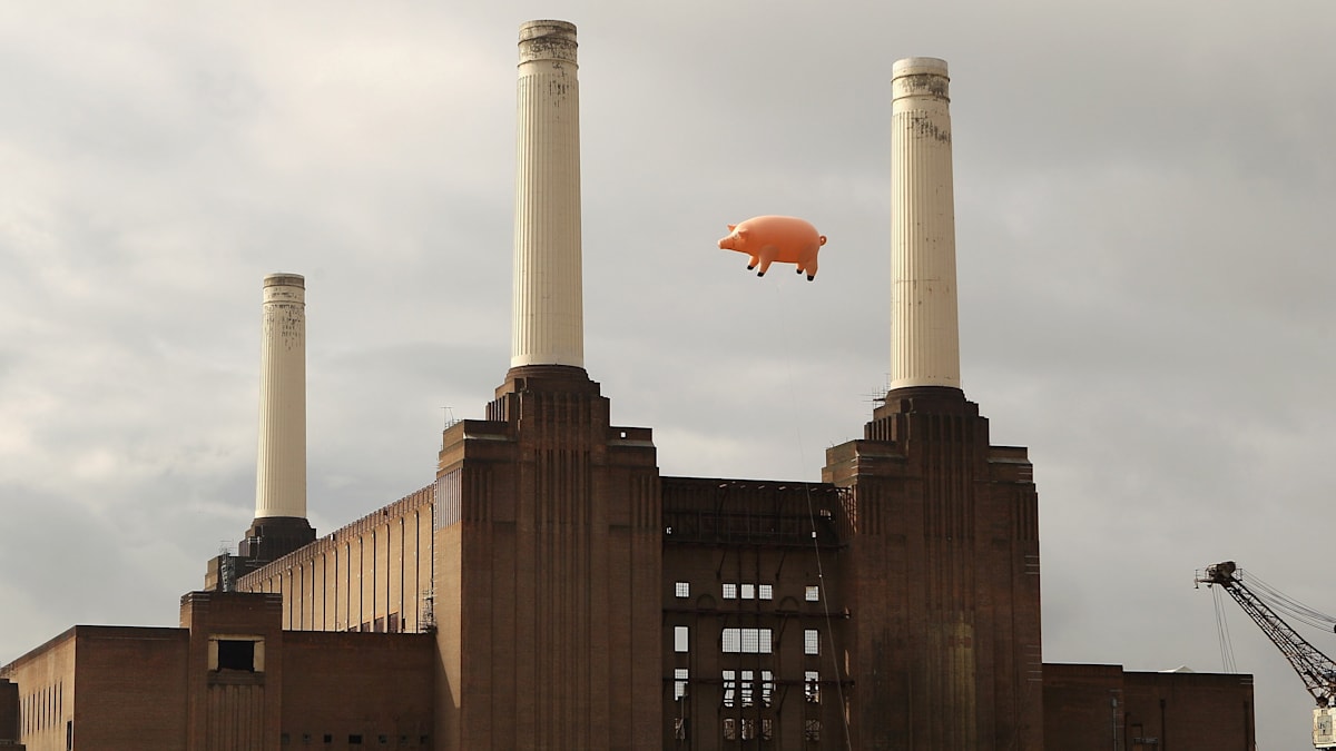 Bessere Zeiten: Als ein Schwein in Londons Luftraum eindrang – die Geschichte Hipgnosis und Pink Floyd