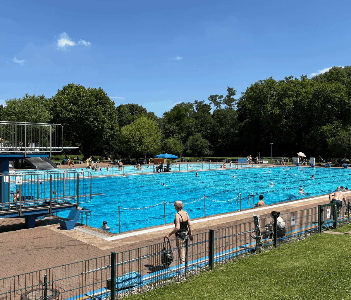 Erstes Hundeschwimmen in Duisburg - Radio Duisburg