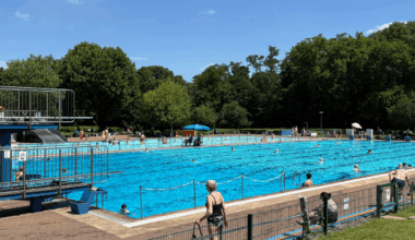 Erstes Hundeschwimmen in Duisburg - Radio Duisburg