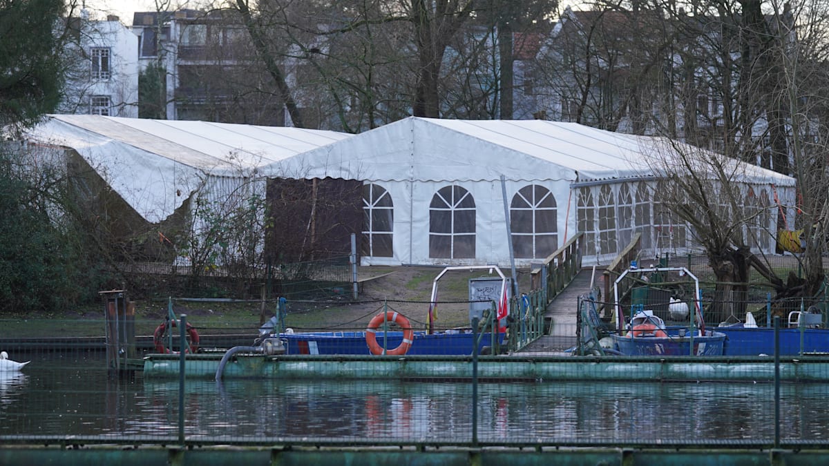 Steuergeldverschwendung: Luxus für Schwäne, Kritik für Hamburg – Bund der Steuerzahler veröffentlicht sein Schwarzbuch