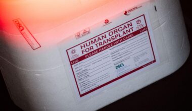 Organspenden in Berlin stark rückläufig