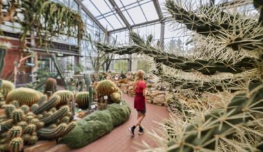 Aus dem Botanischen Garten in Kiel wurden zuletzt immer wieder Kakteen gestohlen. (Archivbild) Ulrich Perrey/dpa