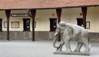 Tier rennt wild durchs Gehege im Zoom Gelsenkirchen - dann passiert es