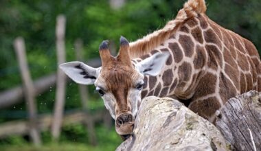zoo leipzig