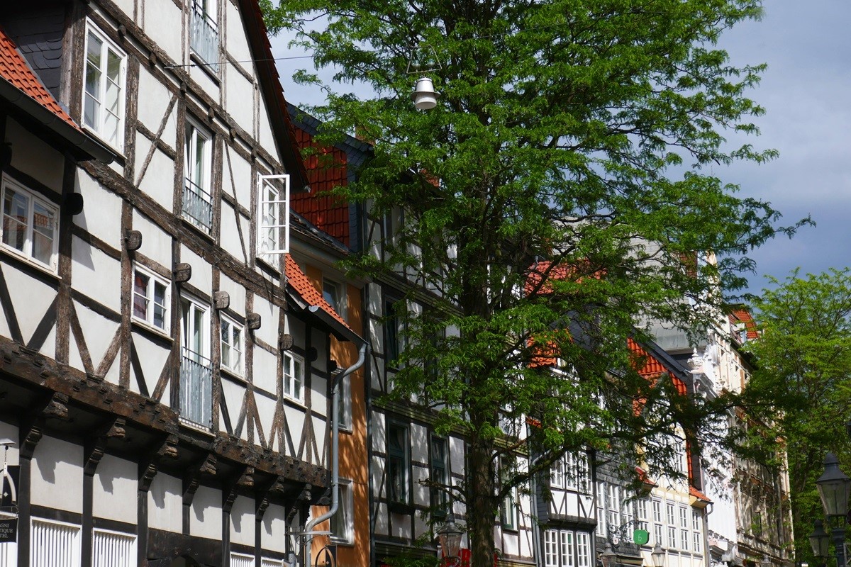 Magnifest in Braunschweig steht kurz bevor! Mit Änderungen für Besucher