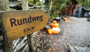 Zoom Gelsenkirchen zeigt gruseliges Video – Besucher reagieren sofort