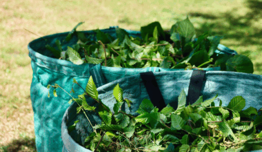 Der AKB bietet wie jedes Jahr die Abgabe von Grünschnitt aus privaten Gärten an Sammelstellen an - Gartenabfall-Container für größere Mengen können bestellt werden