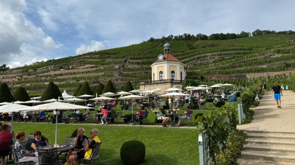 Weinlese im „Goldenen Wagen“ mit Ministerin