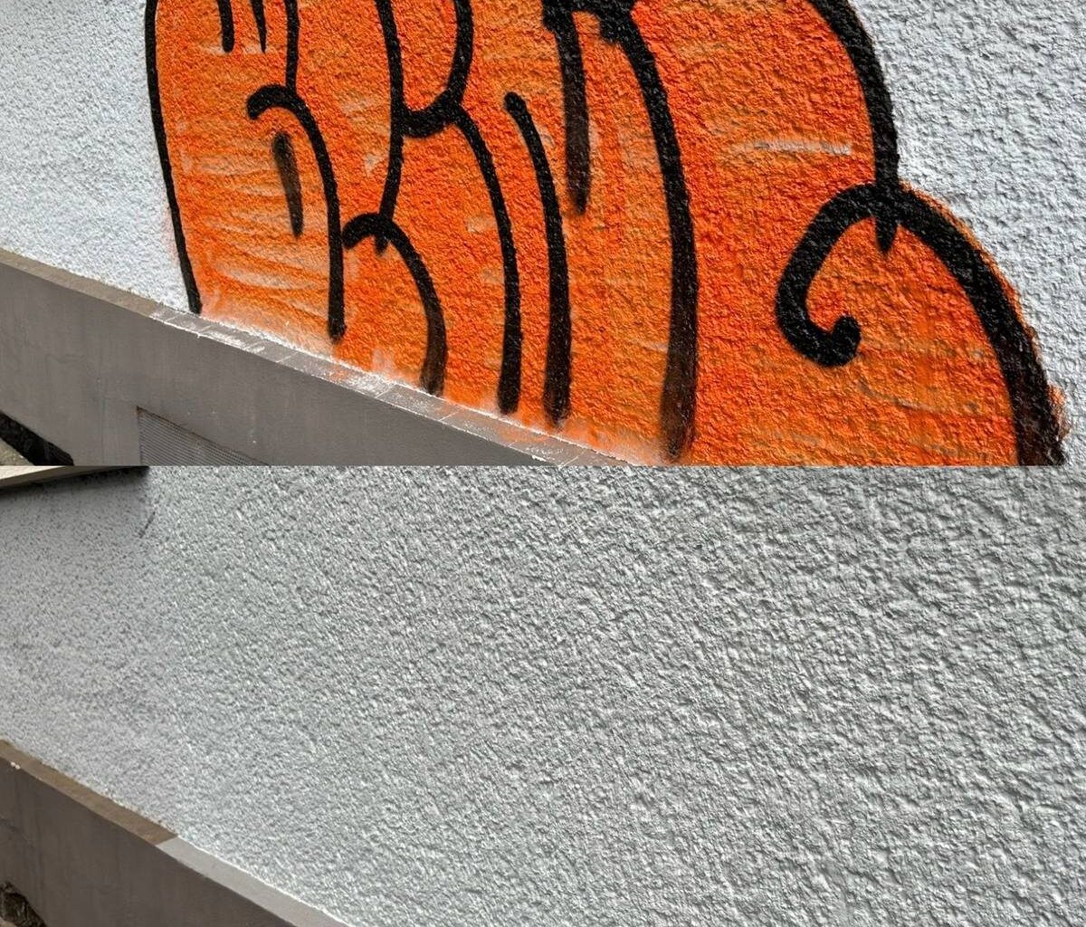 Zuschuss für die Beseitigung von illegalem Graffiti