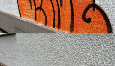 Zuschuss für die Beseitigung von illegalem Graffiti