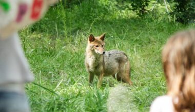 Neue Attraktion im Tiergehege - Radio Oberhausen