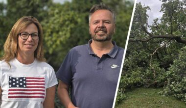 Große vitale Eiche fällt in einen Garten, Eigentümer kritisieren die Stadt Alsdorf