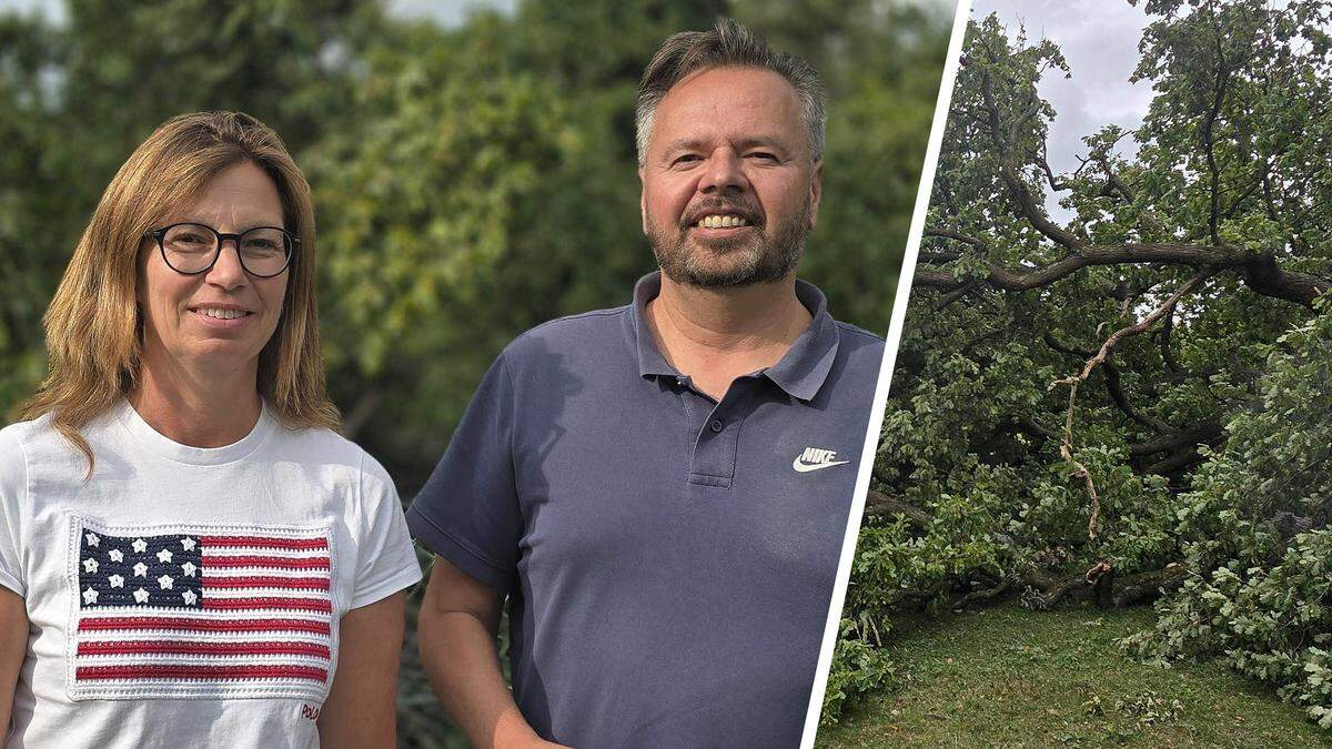Große vitale Eiche fällt in einen Garten, Eigentümer kritisieren die Stadt Alsdorf