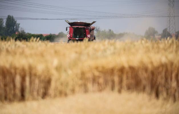 Rund 2,6 Millionen Hektar Fläche werden in Niedersachsen landwirtschaftlich genutzt.