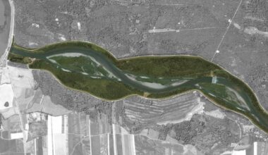 Bewegung bei Licca liber war nötig