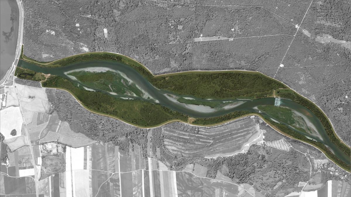 Bewegung bei Licca liber war nötig