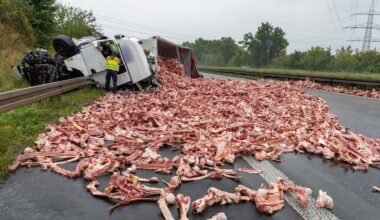Nach einem Lkw-Unfall auf der A7 bei Fulda liegen Fleisch und Knochen neben einem umgekippten Lastwagen