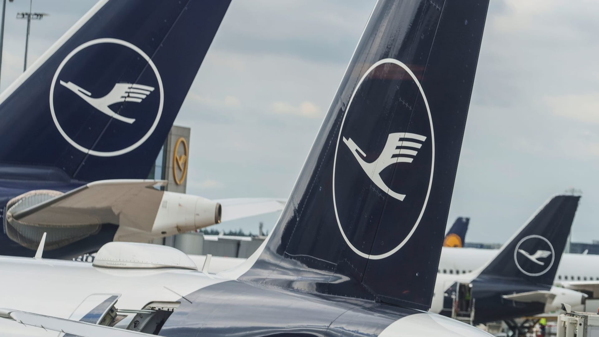 Lufthansa-Maschinen stehen in Frankfurt auf dem Vorfeld (Archivbild): Bei Lufthansa droht der nächste Piloten-Streik.
