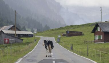 Auswandererziele in Europa: Wohin es deutsche Auswanderer zieht