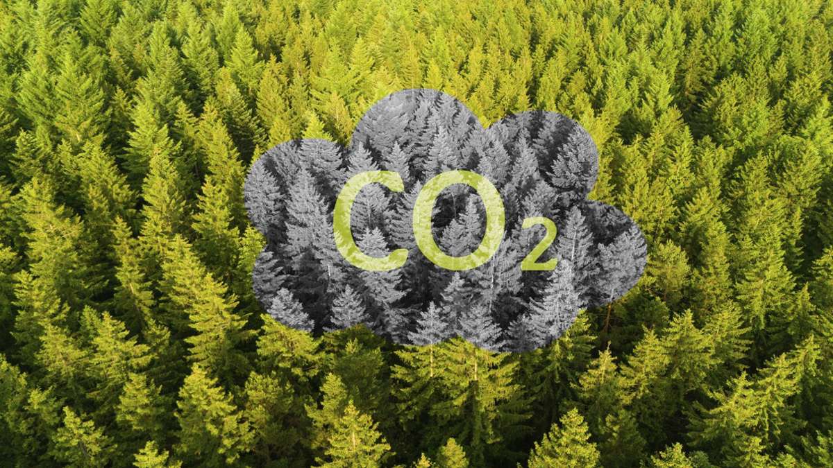Wie nachhaltig muss Kunst sein?: Stuttgarter Künstler entwirft CO2-Rechner für Kunstwerke
