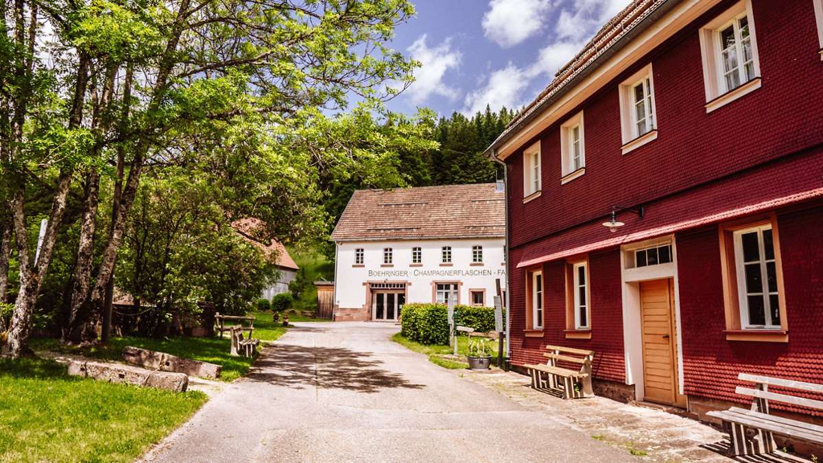 Historische Zeitreise: Neues Buch erzählt die Geschichte der Glashütte Buhlbach - Baiersbronn & Umgebung