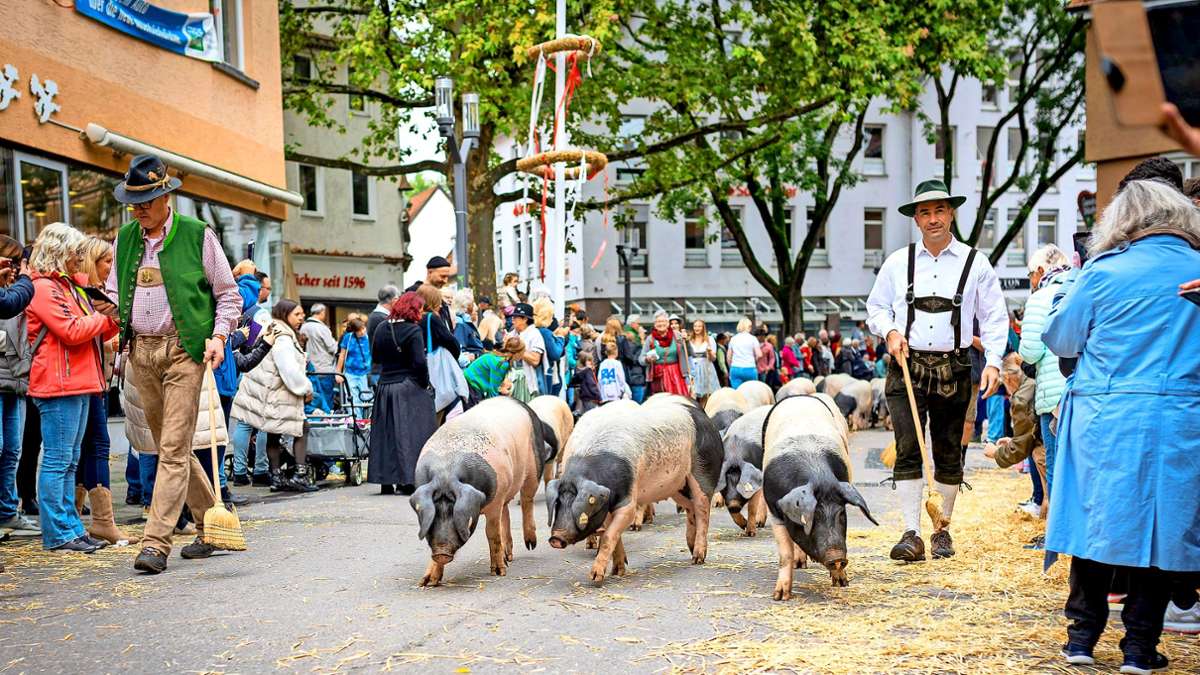 Auftakt zum Cannstatter Wasen: Volksfestumzug als Schatz kultureller Vielfalt