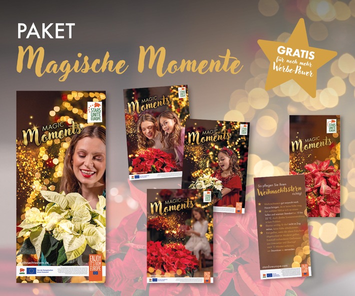 Mehr Erfolg im Weihnachtsgeschäft: Nur noch bis zum 18. September - Weihnachtsstern-Werbemittel sichern