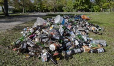 Berlin muss sich endlich um seine Parks kümmern