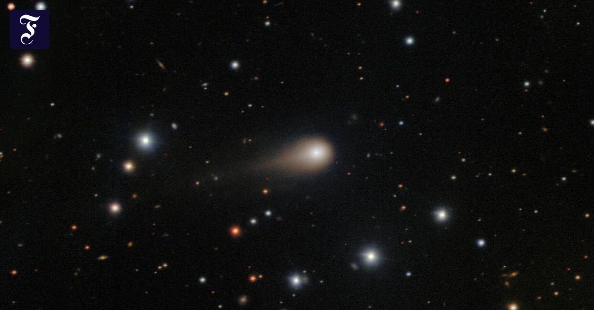 Neu entdeckter Komet wird am Abendhimmel erwartet: Mit Fernglas zu beobachten