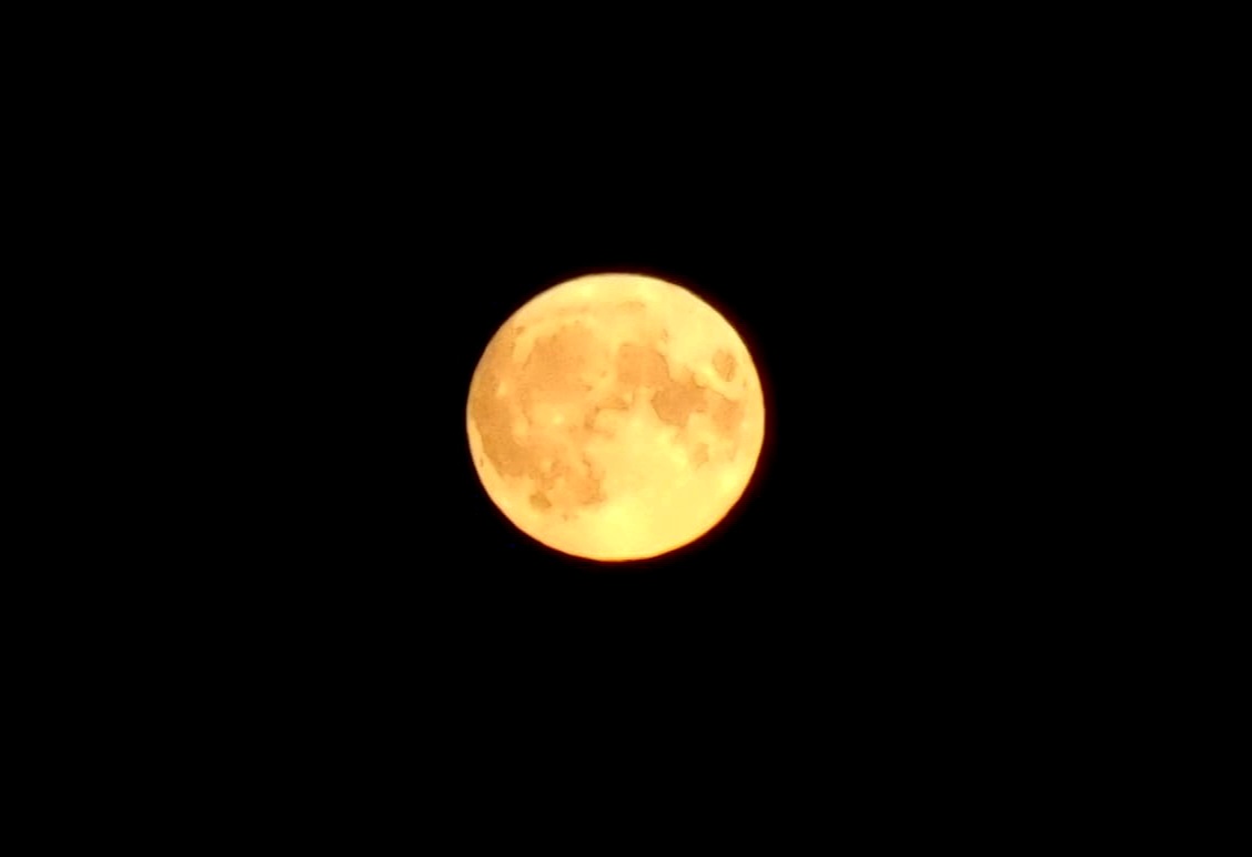 Sonderveranstaltungen zur Mondfinsternis im Planetarium