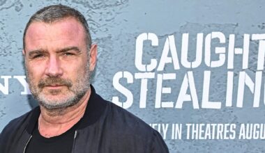 US-Schauspieler protestieren gegen Boykott israelischer Kultur – „Willkürliche Zensur“