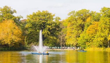Fischsterben im Carolasee Dresden gibt Rästel auf