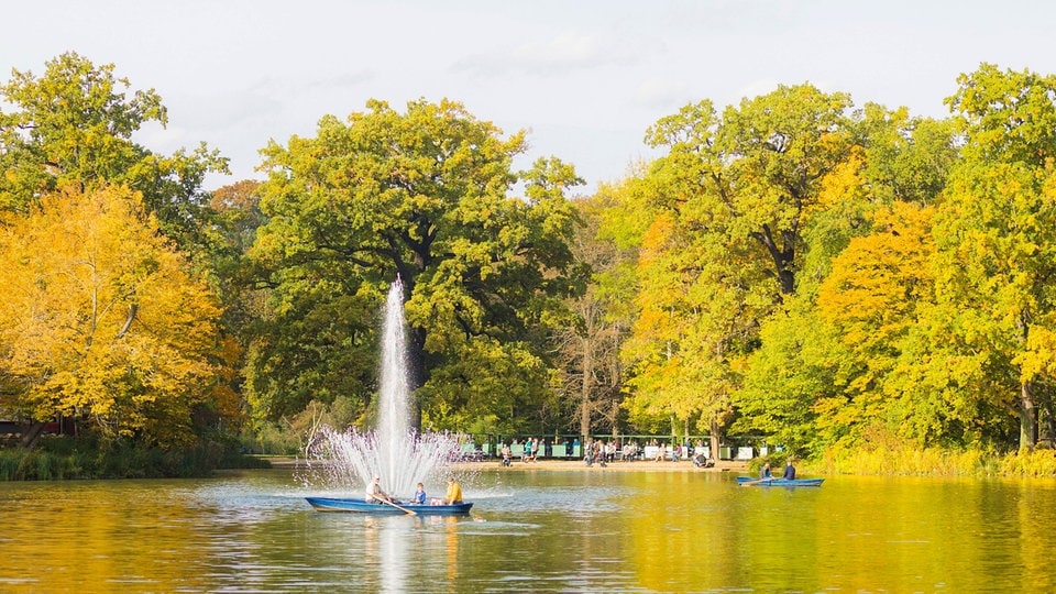Fischsterben im Carolasee Dresden gibt Rästel auf