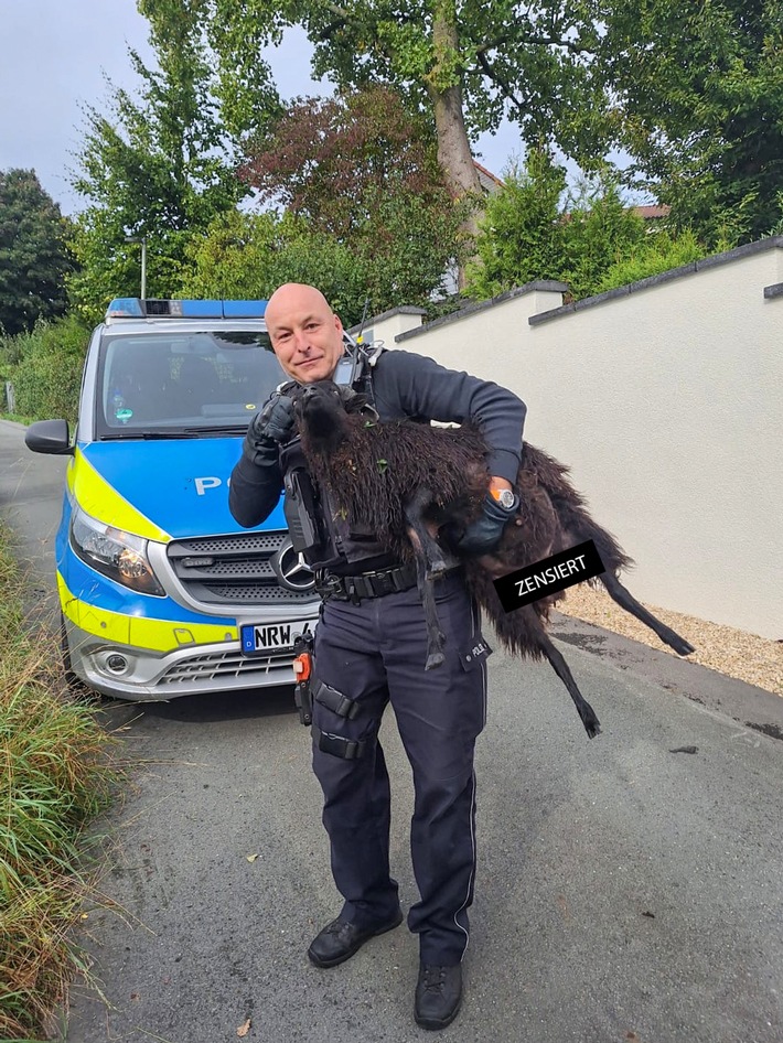 POL-BO: High Noon in Herbede: Showdown zwischen Hund, Schaf und Sherriff