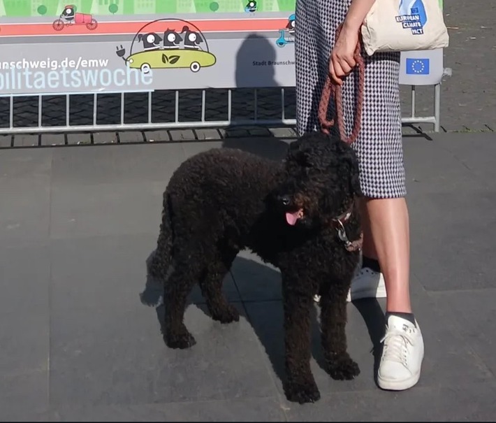 POL-SZ: Pressemitteilung des Polizeikommissariats Wolfenbüttel vom 20.09.2025: